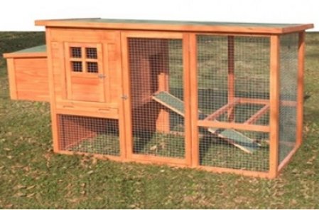 Poultry accesories